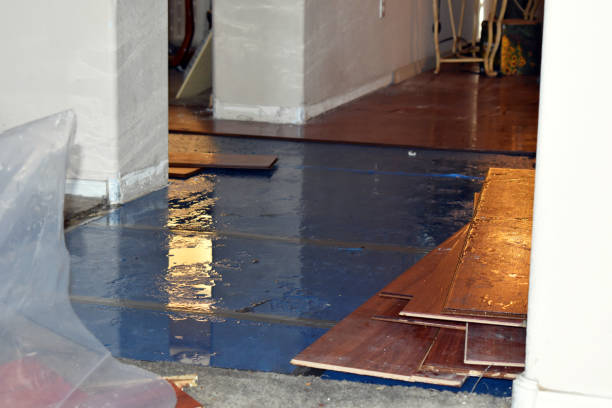Professional Water Damage Restoration technician working in Sterling, KS